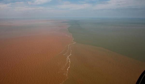 三角洲寻血猎犬软件(给我三角洲寻血猎犬软件的下载链接) 三角洲寻血猎犬软件(给我三角洲寻血猎犬软件的下载链接)